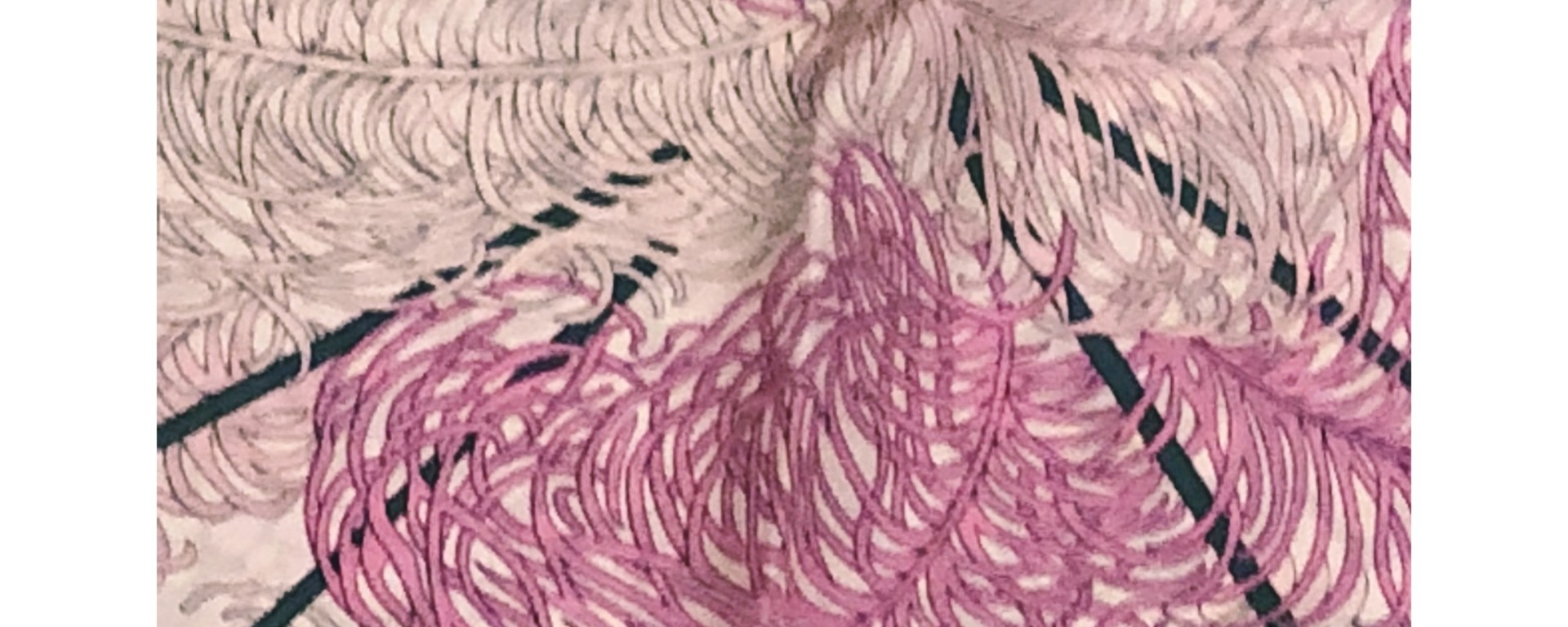 emilio pucci