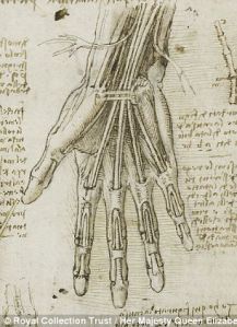 leonardo